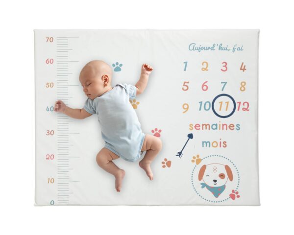 Tapis de jeu TOUTOU de Babycalin - Parcs évolutifs - Revêtement 100% PVC, garnissage 100% polyester.